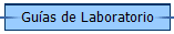 Guas de Laboratorio